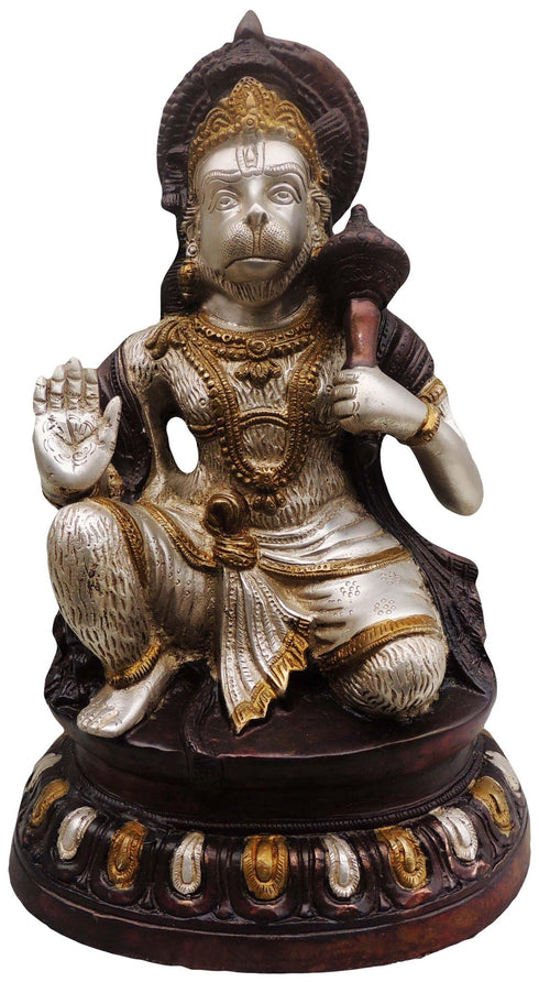 Brass Hanuman Ji Statue 8.778Kg