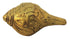 Brass Shank Conch 0.12Kg