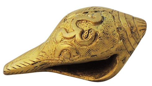 Brass Shank Conch 0.12Kg