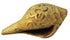 Brass Shank Conch 0.12Kg