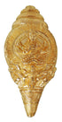 Brass Shankh Statue 2.14Kg