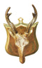 Brass Wall Hanging Deer Face Statue 3.36Kg