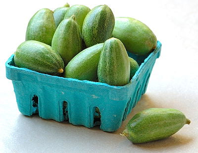 Prakruthi Parwal Pickle