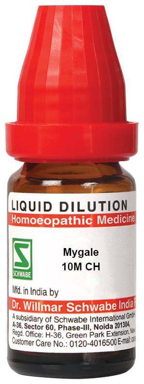 Dr Willmar Schwabe India Mygale Dilution 10M CH