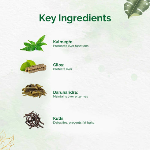 Dr. Vaidya's Liver Care Capsules