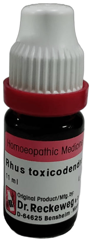 Dr. Reckeweg Rhus Tox Dilution 30 CH