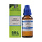 SBL Arum Triphllum Dilution 1000 CH