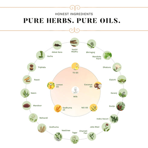 Sesa Rice Water Hair Smoothening Combo