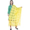 A R Silk Lemon Color Window square Cotton Dupattas and Chunnis