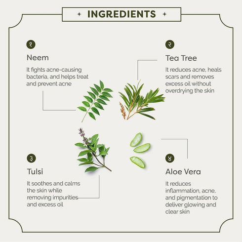 Ayuga 2% Neembadam Anti Acne Face Wash