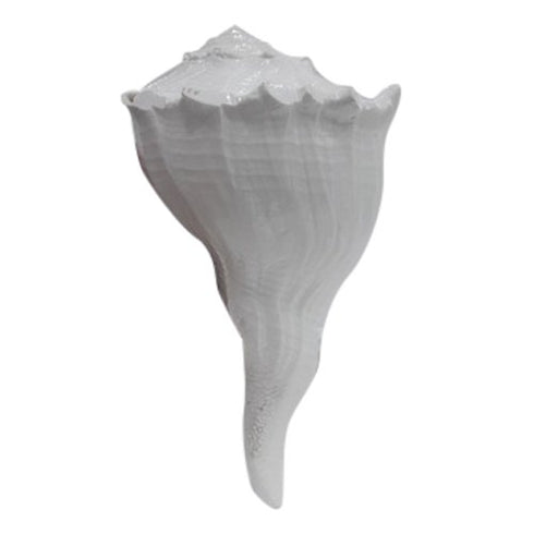 Pushkar Certified Dakshinavarti Shankh Lakshmi Shankh (8 Inch)