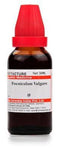 Dr Willmar Schwabe India Foeniculum Vulgare Mother Tincture Q