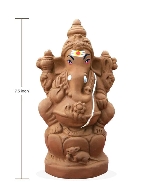 Seed Ganapathy 7.5" inch