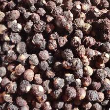 Malabar Spinach Seeds