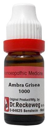 Dr. Reckeweg Ambra Grisea Dilution 1000 CH