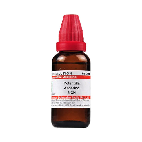 Dr Willmar Schwabe India Potentilla Anserina Dilution 6 CH