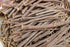 Herbs And Corps Licorice Roots Dried 454gm