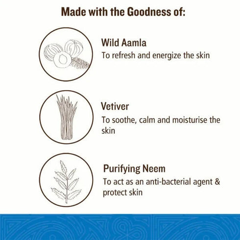 Soultree Hair & Body Wash | Aamla & Vetiver with Purifying Neem