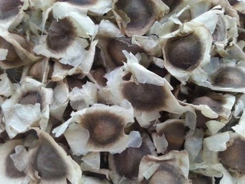 Herbs And Corps Moringa Seeds 454g