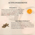 Aegte Skin Filter High Coverage Concealer | Medium Natural