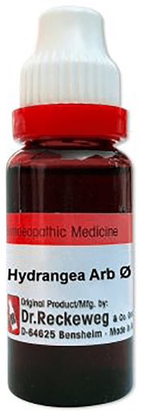 Dr. Reckeweg Hydrangea Mother Tincture Q