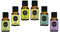 Earth N Pure Essential Oils Rosemary, Eucalyptus, Tea Tree, Lemongrass, Peppermint and Lavender
