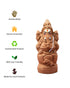 Seed Ganapathy Mini 5.5