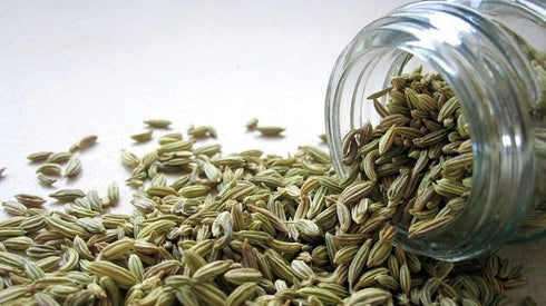 Herbs And Corps Fennel Seeds 454g