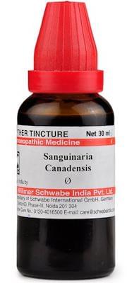 Dr Willmar Schwabe India Sanguinaria Canadensis Mother Tincture Q