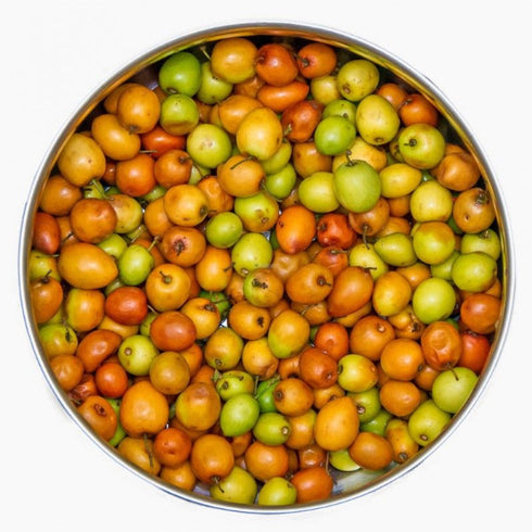 Indian Jujubes Small Regi Pallu | Ber Fruit 450g