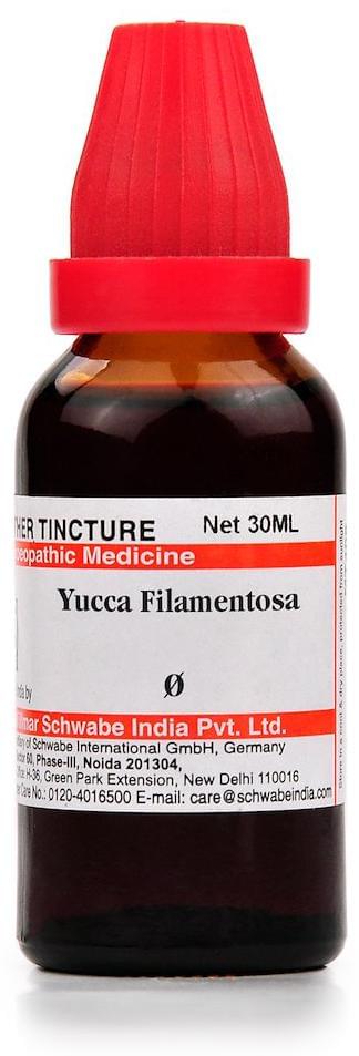 Dr Willmar Schwabe India Yucca Filamentosa Mother Tincture Q