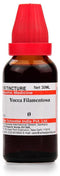 Dr Willmar Schwabe India Yucca Filamentosa Mother Tincture Q