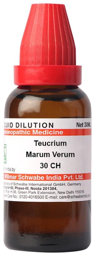 Dr Willmar Schwabe India Teucrium Marum Verum Dilution 30 CH