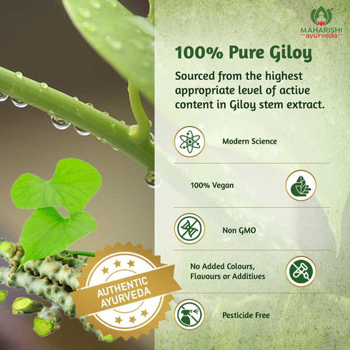 Maharishi Ayurveda Giloyghan Vati Tablets