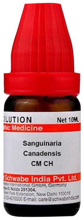 Dr Willmar Schwabe India Sanguinaria Canadensis Dilution CM CH