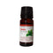 God Bless U 100% Pure Essential Oil Basil,bottle of 10 ml Oil X 4