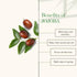 Good Vibes 100% Natural Jojoba Skin Replenishing Facial Oil 10ml
