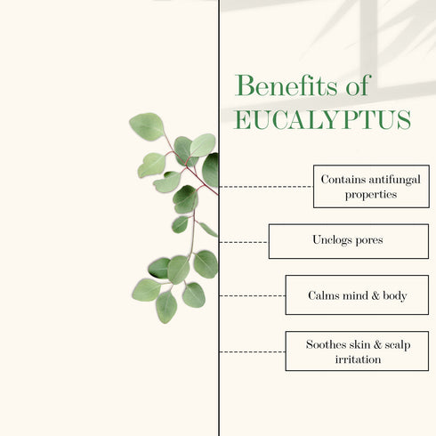 Good Vibes Eucalyptus 100% Pure Essential Oil 10ml