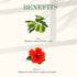 Good Vibes Cherry Blossom Softening Hand Cream