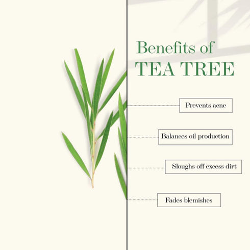 Good Vibes Tea Tree Foaming Face Wash