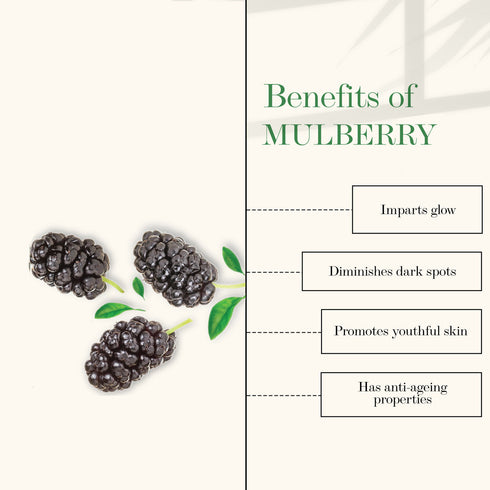 Good Vibes Tea Tree + Mulberry Skin Glow & Oil Control Serum