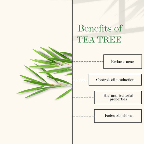 Good Vibes Tea Tree + Mulberry Skin Glow & Oil Control Serum