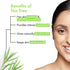 Good Vibes Tea Tree Cleansing Toner