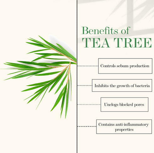 Good Vibes Tea Tree Oil Control Sleeping Mask