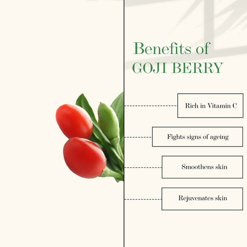 Good Vibes Vitamin C & Goji Berry Depigmentation & Wrinkle Balancing Face Serum