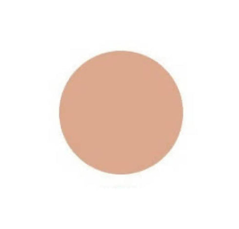Innisfree My to go Cushion 2.2 N31 Walnut