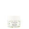 Glamveda Green Tea Recharge & Renew Massage Cream