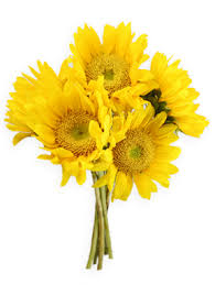 Decorative Yellow Flowers Bunch - 1000gms