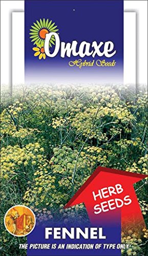 Omaxe Wild Fennel Flower Florescence Seeds