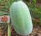 Winter Melon Seeds